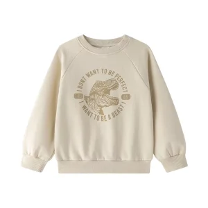 Sudadera T-Rex YM108598