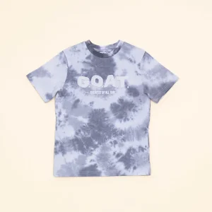 Franela de Algodón Gris Teñida con Gráfico de GOAT para Niño YM110082